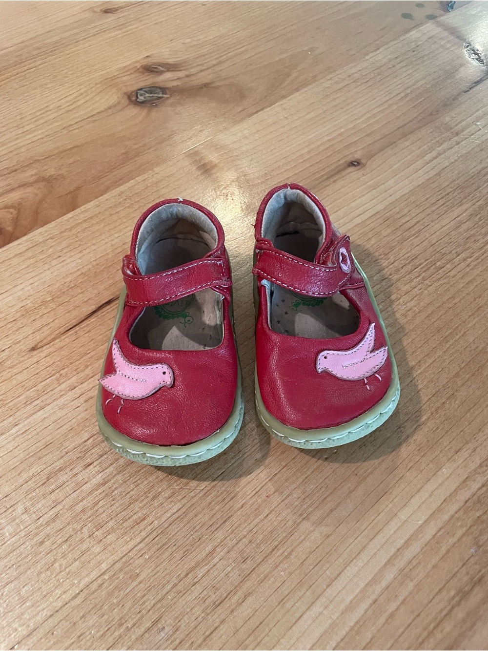 Livie & Luca Red Mary Jane Shoes with Pink Bird Appliqué